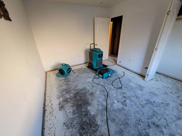 Best Water damage restoration specialists  in Glasgow, MO