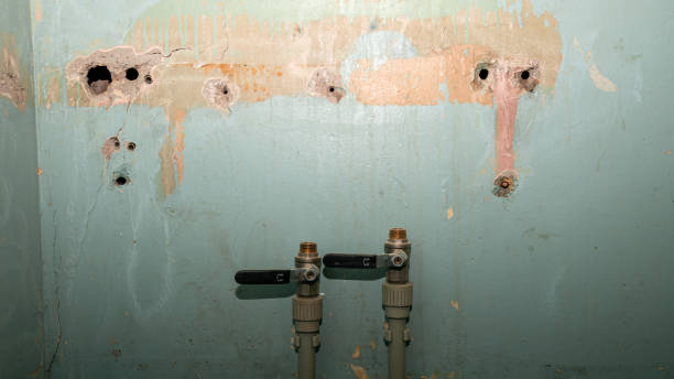 Best Flooded house restoration  in Glasgow, MO